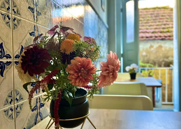 A Beira Auberge de jeunesse Aveiro